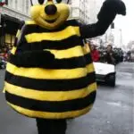 Bee